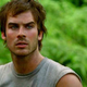 Image for article titled The Lost Cast’s Post-Lost Careers, Ranked